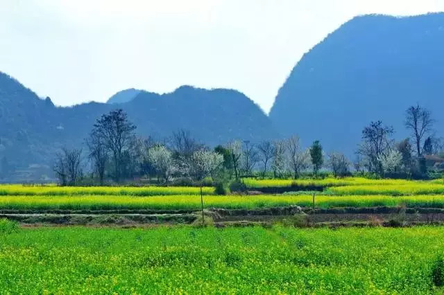 IM电竞_东亚军舰下水速度大比拼 昔日强国遭全面碾压(图3) IM电竞