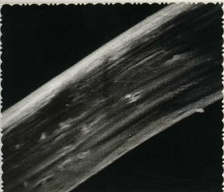 IM电竞_巴萨大危机!国王杯丢冠 梅西+2大佬大巴上紧急开会(图2) IM电竞官网