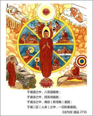 足球生长史 带你相识足球——看球-IM电竞平台(图7) IM电竞官网