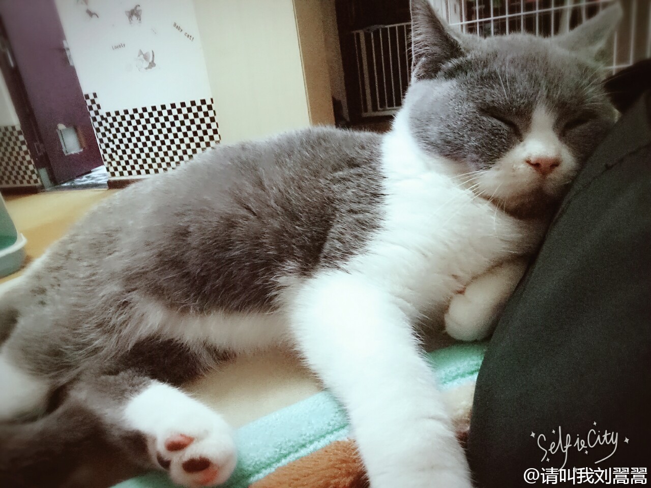 ‘IM电竞官网’美:我认为未来10年中国核武将翻倍美俄中该谈军控了(图1) IM电竞官网