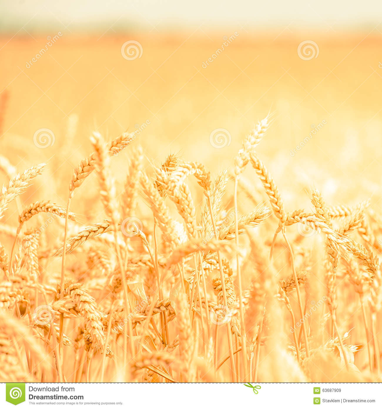 IM电竞|乌姆蒂蒂续约巴萨遇阻 球员年薪仅200万欧 要求涨薪3倍(图1) IM电竞平台