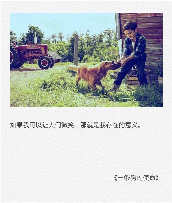 斯里兰卡举行总统大选穆斯林选民遭武装分子袭击|IM电竞平台(图1) IM电竞官网