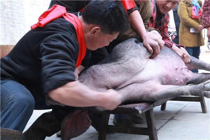 IM电竞:暴力鸟进球数超C罗+本泽马(图2) IM电竞