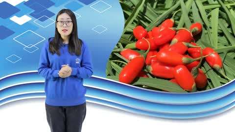 IM电竞|西甲-梅西399球苏神世界波 巴萨2-1领先马竞5分(图2) IM电竞