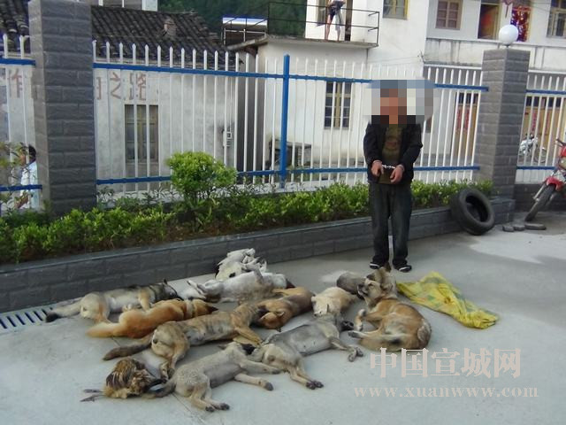 IM电竞|西甲-梅西399球苏神世界波 巴萨2-1领先马竞5分(图3) IM电竞官网