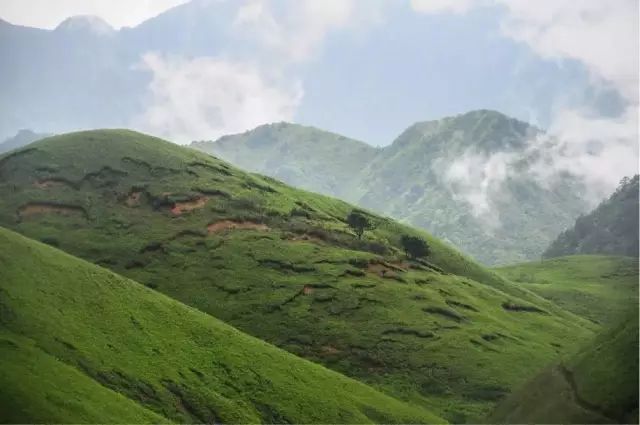 巴萨利好!梅西盼周末提前复出 铁卫伤愈终回归-IM电竞(图3) IM电竞官网