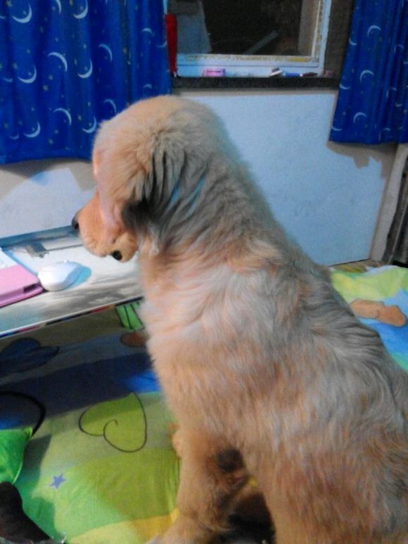 安倍主动和台湾“切割”这次为何这么积极|IM电竞平台(图1) IM电竞官网