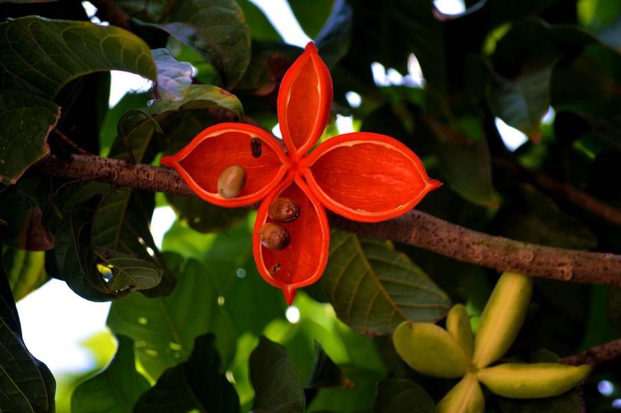 北京将用“北平模式”武统台湾?手段简直太绝了‘IM电竞’(图1) IM电竞平台