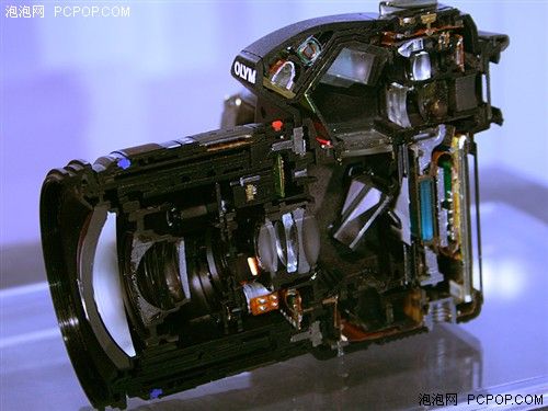 苏炳添亚运破纪录 贝尔再现外线超车 论速度生吃谁更胜一筹?_IM电竞平台(图2) IM电竞官网