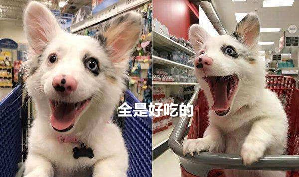 IM电竞|为何海湾战争百谈不厌?为何说成就了中国军事跨时代的变化?(图2) IM电竞平台