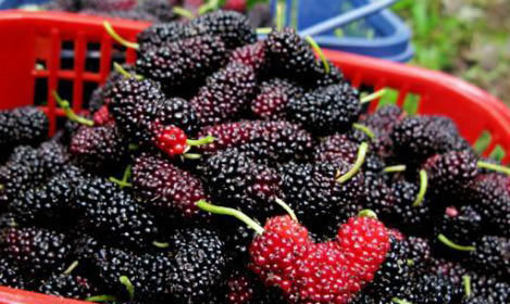 法国前总理:中欧都不想再发生战争 而美国不一样_IM电竞平台(图4) IM电竞